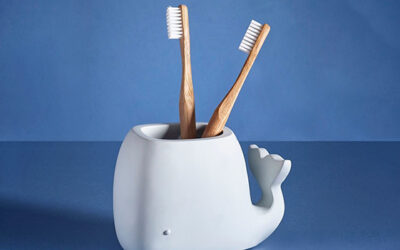 BEST TOOTHBRUSH AND TOOTHPASTE HOLDERS