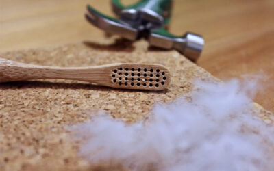 Can Toothbrush be Recycled?