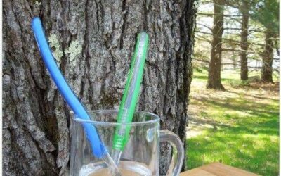 The Easiest Way to Clean Your Toothbrush